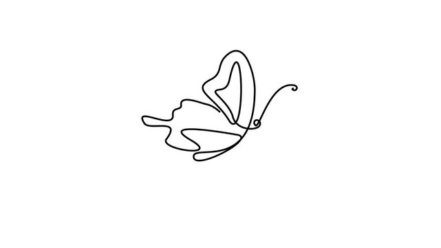 Animated self drawing of continuous line draw Beautiful flying moth . Full length one line animation. 4K	