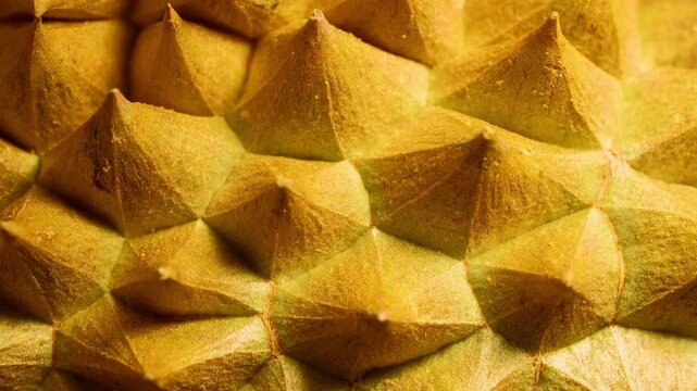 Macro Extreme Close-up of Durian Fruit Thorny Husk Texture, Tropical Exotic King of Fruits Prickly Skin Detail