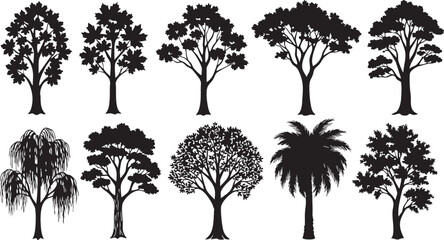 Fototapeta premium Black vector illustration set of tree silhouettes featuring pine, oak, and birch branches for nature design patterns