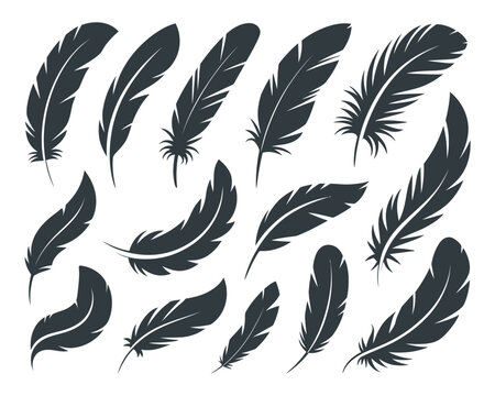 Gray feather set, soft bird plumes, elegant quill shapes, minimalist decor, craft sticker, stationery design, wedding program accent, nature vector