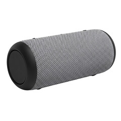 Grey cylindrical speaker isolated on transparent background