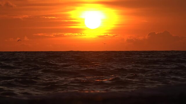 Telephoto Sunset Over Ocean with Sun Reflections and Flying Seabirds