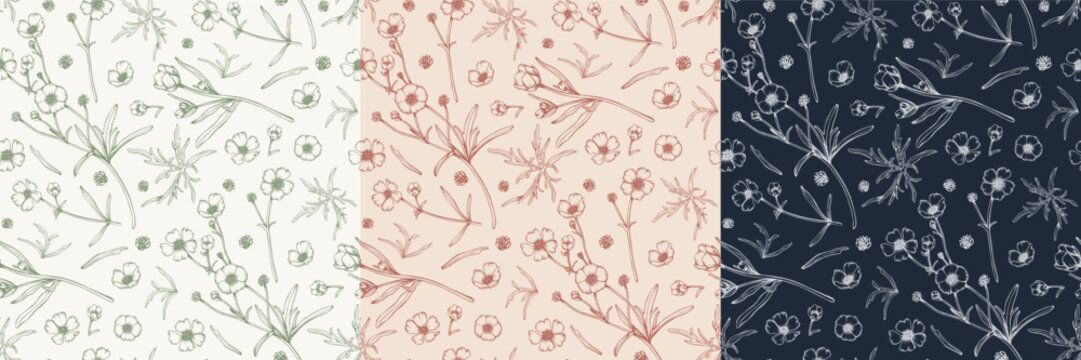 Set of seamless floral patterns with hand drawn ranunculus and buttercup flowers. Botanical line art vector illustration collection in pastel, terracotta, and dark navy colors for textile, wallpaper.
