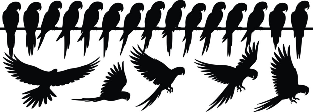 A striking arrangement of black parrot silhouettes includes birds sitting on a bar and soaring