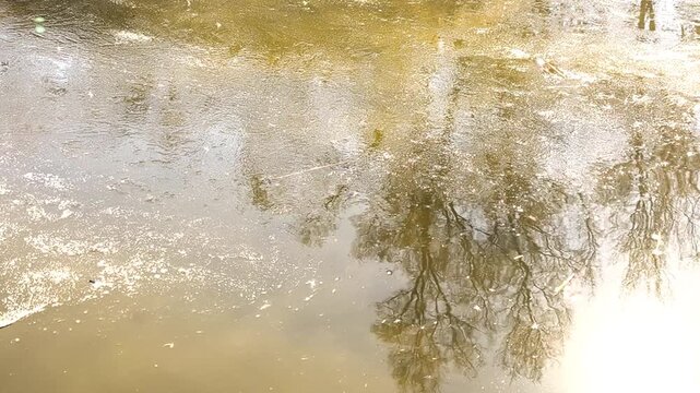 Reflection of trees in muddy water with ripples and light texture, nature concept. Reflection distorted by movement on surface, reflex branches with abstract shapes in natural outdoor environment