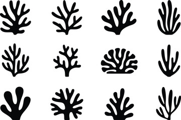 Fototapeta premium Black silhouettes of various sea corals and delicate underwater plants displayed on a pure white background