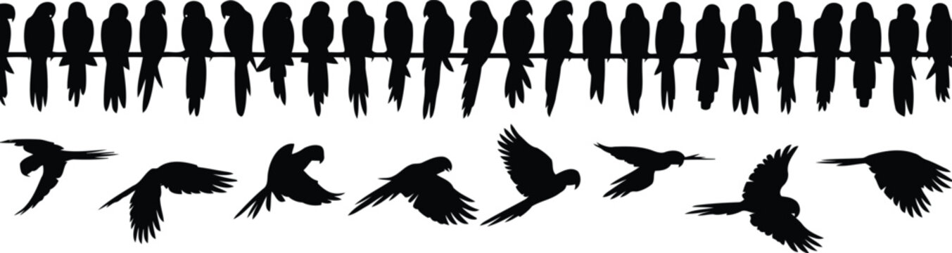 Black silhouettes of several parrots are gracefully flying and resting on a horizontal bar