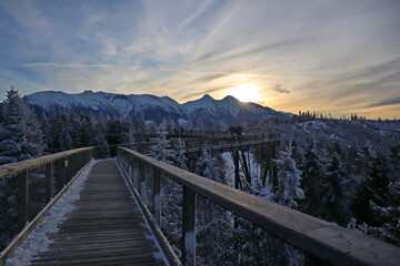 Fototapeta premium Sunset at the Bachledka treetop walk in the Tatras 2026.02.20