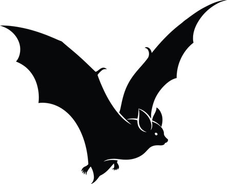 Bat in flight silhouette against white background, minimalist wildlife illustration