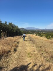 Fototapeta premium A Person Carrying a Dog Walking Toward a Distant Mountain on a Sunny Trail