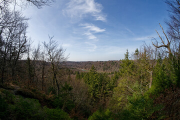 Fototapeta premium Wide-angle view of the Isar River in Grünwald, Germany, Bavaria,
