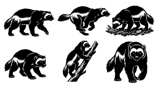 Wolverine Silhouette Vector Set, Gulo Gulo Poses Collection, Walking Running Climbing and Foraging Wolverine Icons, Minimalist Black Wildlife Illustrations for Logo and Design, Fierce Mammal Graphics