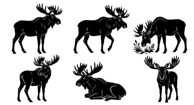 Moose Silhouette Vector Set, Bull Moose Poses Collection, Standing Walking Grazing and Lying Moose Icons, Minimalist Black Wildlife Illustrations, Forest Animal Graphics for Logo and Design