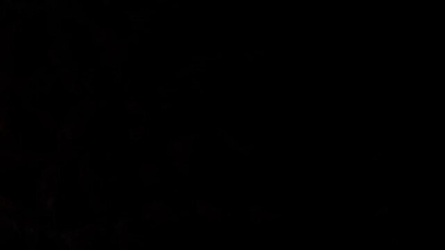 Macro Extreme Close-up of Durian Fruit Thorny Husk Texture, Tropical Exotic King of Fruits Prickly Skin Detail