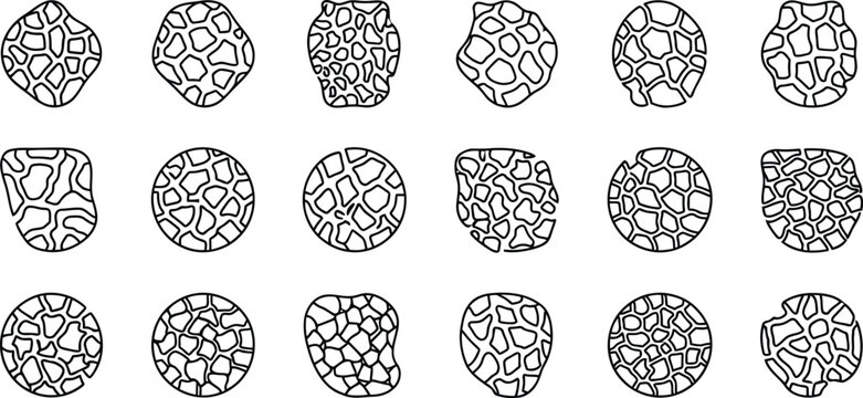 Organic cell structures: abstract microscopic patterns