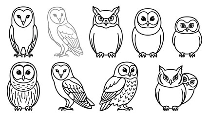 Set of cute owl bird various styles collection bundle coloring book © GW