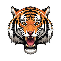 Fototapeta premium Fierce tiger head illustration with open mouth and striking orange and black stripes