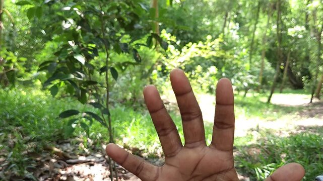 Human hand showing three fingers gesture outdoors in natural environment, close up of hand sign representing number three, counting, symbol, communication and body language concept in India
