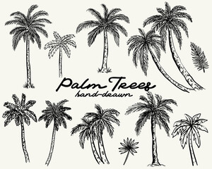 Naklejka premium Hand drawn whimsical style palm trees vector set