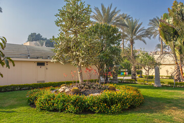 Obraz premium garden in the city of Cairo