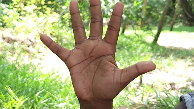 Human hand showing three fingers gesture outdoors in natural environment, close up of hand sign representing number three, counting, symbol, communication and body language concept in India