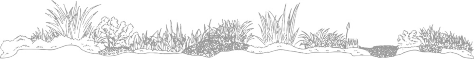 Detailed line of diverse wetland vegetation and water edge with varied grasses and small bushes © ESIPOOS