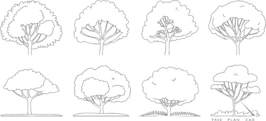 Collection of eight stylized line trees with varied canopy shapes and branch structures outline nature © ESIPOOS