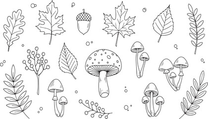 Autumn nature forest elements with mushrooms leaves acorn and berry sprigs for seasonal design hand drawn vector illustration doodle art © Kanon Islam