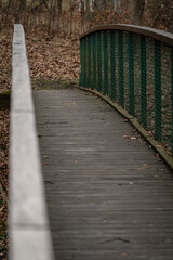 Obraz premium A wooden footbridge with green mesh on the sides.