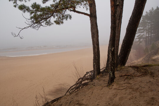 Foggy scene at the Baltic sea in early spring in Balta Kapa in Saulkrasti in Latvia