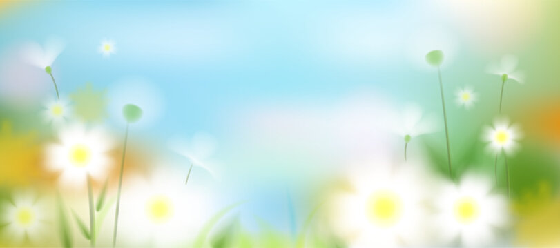 Summer background with chamomiles and dandelions, blue sky blur, green foliage, yellow white flowers, abstract floral vector pattern, meadow garden nature plant template