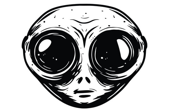 Detailed alien head displays high contrast line work and immense black eyes looking forward