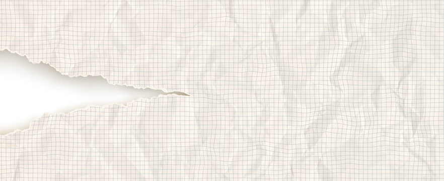 Abstract torn notebook with vintage paper background and rip graph grid. Ripped note white with leaf square craft and math newspaper school. Piece line abstract with notepad sketchbook vintage.