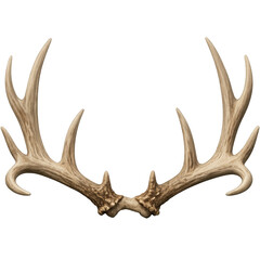 Fototapeta premium Large Pair of Natural Deer Antlers with Matte Texture and Elegant Curved Form, Realistic Wildlife Trophy Horns for Decor or Design, Isolated on Transparent Background for Easy Integration