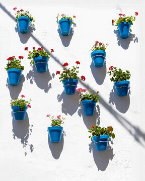 Colorful blue flower pots on white wall with shadows, Mediterranean style