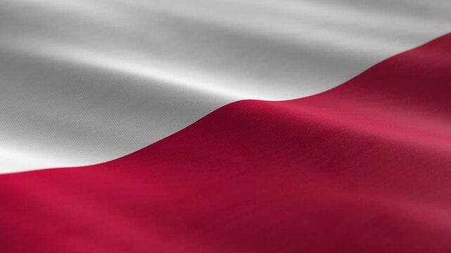 Poland - waving flag loop