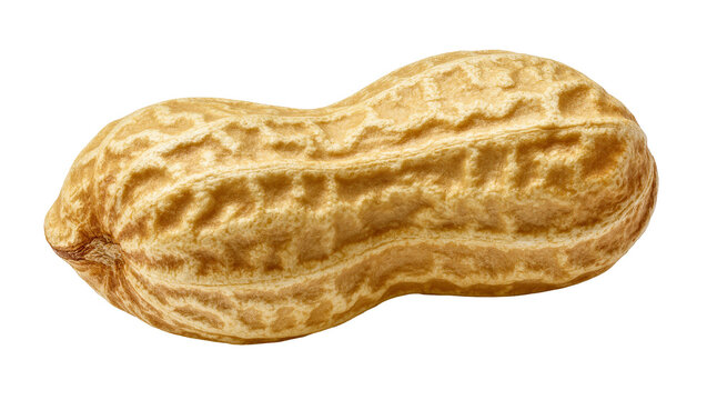 Isolated whole peanut pod with textured shell, a delicious and nutritious healthy snack.