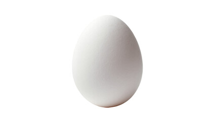 Isolated single fresh organic white chicken egg standing upright, raw and ready for cooking © Andrej