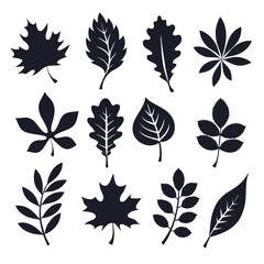 Obraz premium A collection of dark monochromatic silhouette leaves are arranged neatly on a bright white backdrop