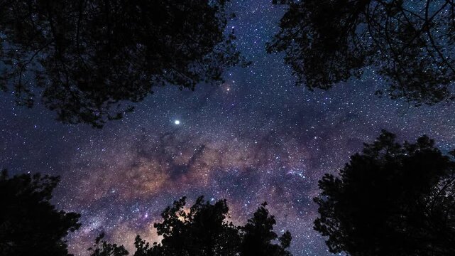 Looking up at the sky on starry sky with Milky Way from forest. Timelapse shot, Earth rotation concept. Camera is moving bottom left. Wide angle lens shot