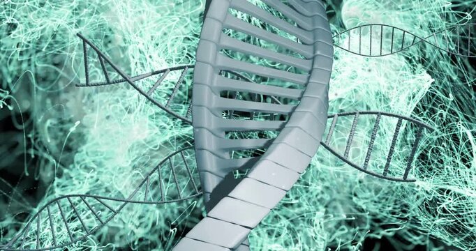 Camera descending, helix rotating, revealing rungs and teal fibers swirling, visualizing health