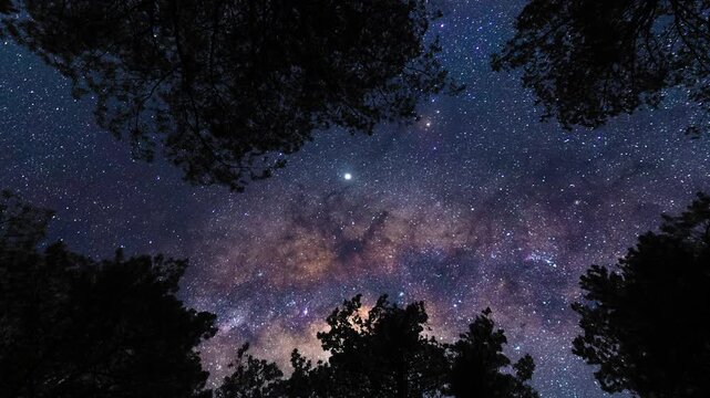 Bottom view on starry sky with Milky Way from forest. Timelapse shot, Earth rotation concept. Camera is moving bottom right. Wide angle lens shot