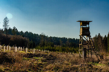 Naklejka premium Hoch und Jägersitz im Wald