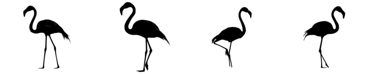 Obraz premium Elegant Silhouette of a Stretched Ostrich in Flight