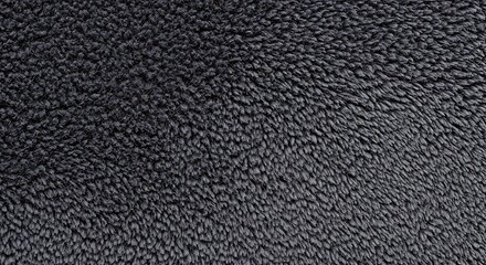 Fototapeta premium A close-up view of a black towel