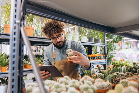 Male small business owner wearing apron checking plants with digital tablet in garden center