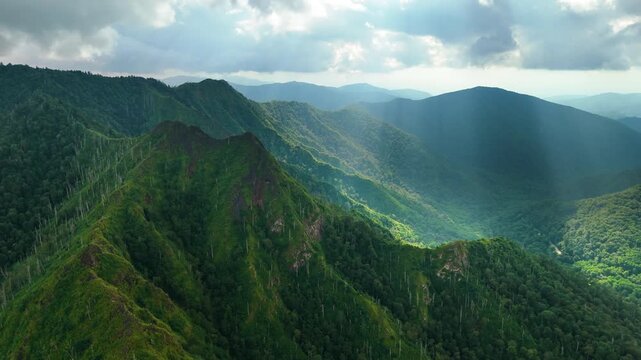North Carolina Appalachian mountains in summer season. Summertime landscape of beautiful nature. Smoky mountains summer woods.
