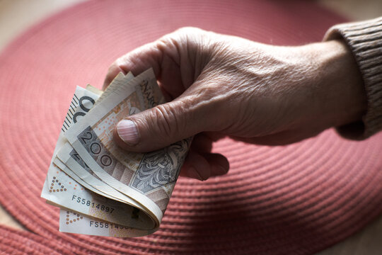 A senior, an elderly person, holds Polish money in his hands.

