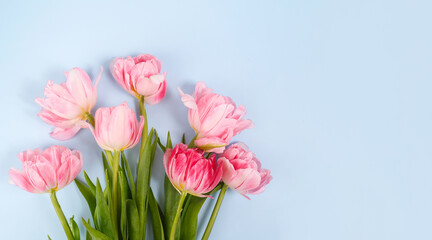 Obraz premium Bouquet of Pink Tulips on Light Blue Background