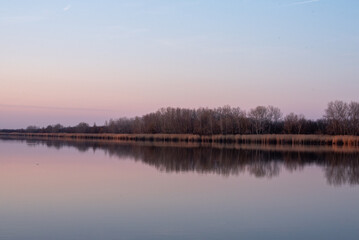 Fototapeta premium Reed reflection on calm water after sunset